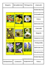 Bingo-Frühlingsblumen-2B.pdf
